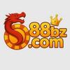 88I  BZ 88ibzcom1