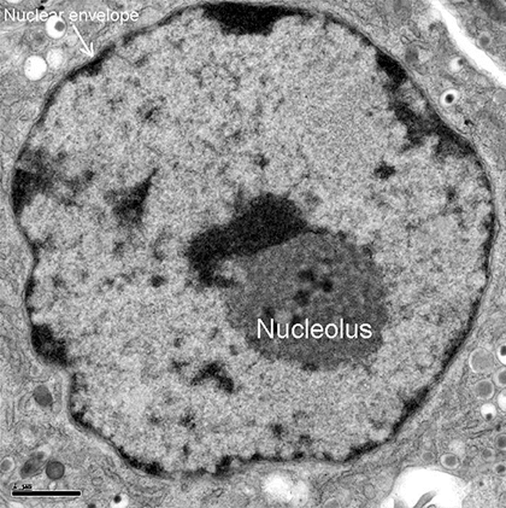 Размер имеет значение