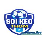 vuabongro30@gmail.com