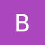 Bty1233 net