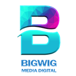 Website Development Company in Delhi