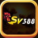 SV388 KIM KIM