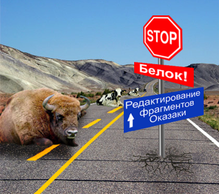 Следы полимеразы alpha