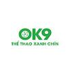 ok9it com