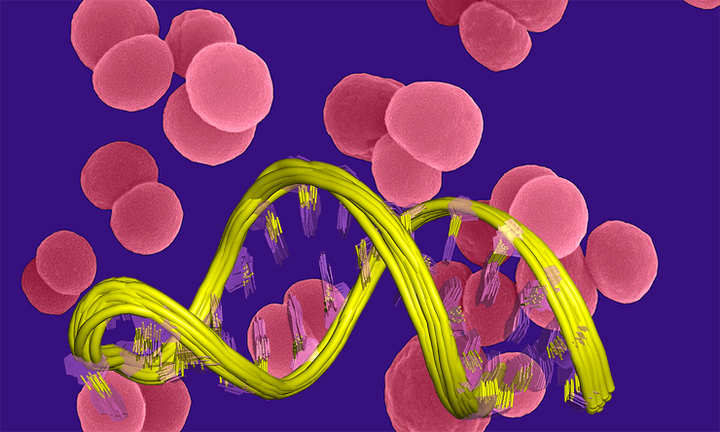 Поднялась температура? Ваши бактерии уже в курсе