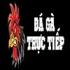 Đá Gà Trực Tiếp