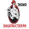 ĐÁ GÀ TRỰC TIẾP PH