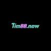 Tim88 now