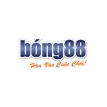 Bong88 Lipaugmentation