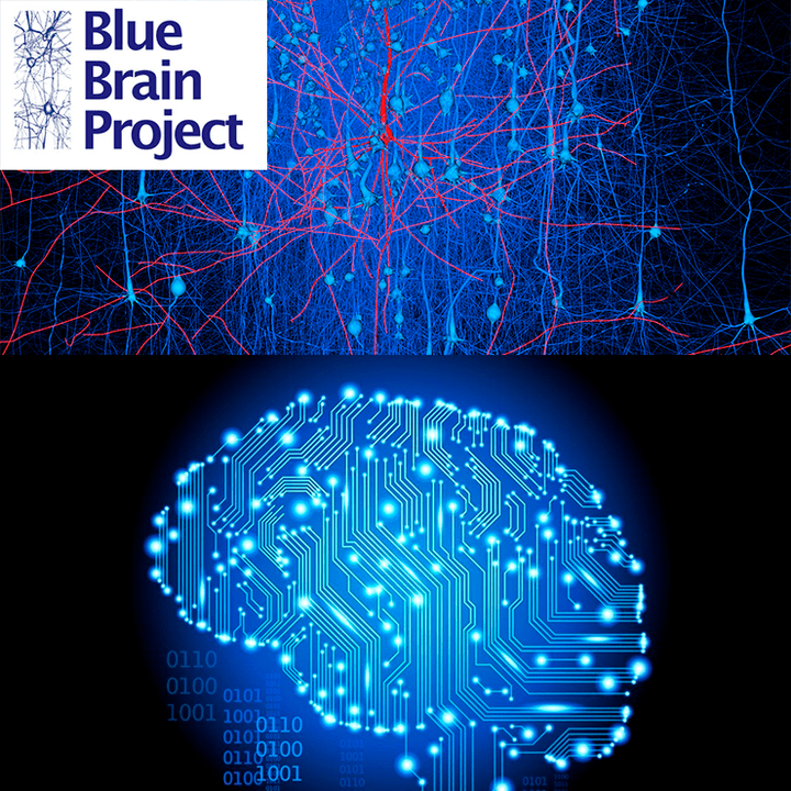 Blue Brain Project: как все связано?