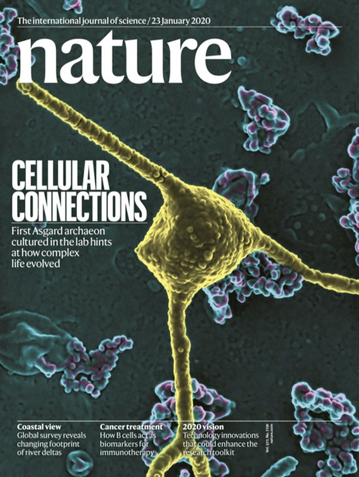 SciNat за январь 2020 #4: симпатическое поседение, нестареющие нематоды и диалог внутри семян