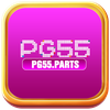 pg55 parts