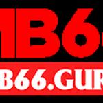 mb66guru