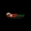Bongdalu diy