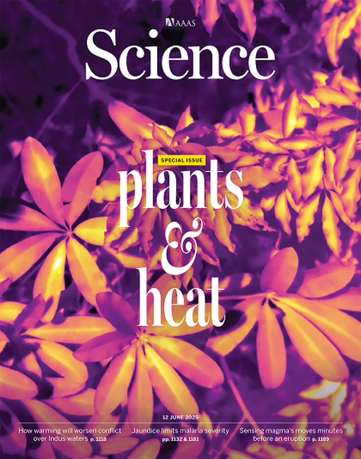 SciNat за июнь 2025 #3: хищные бактерии, желтуха против малярии и как растения реагируют на глобальное потепление