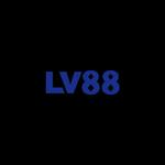 Lv8899 net