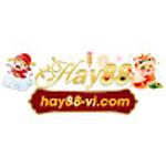 HAY88 -VI COM