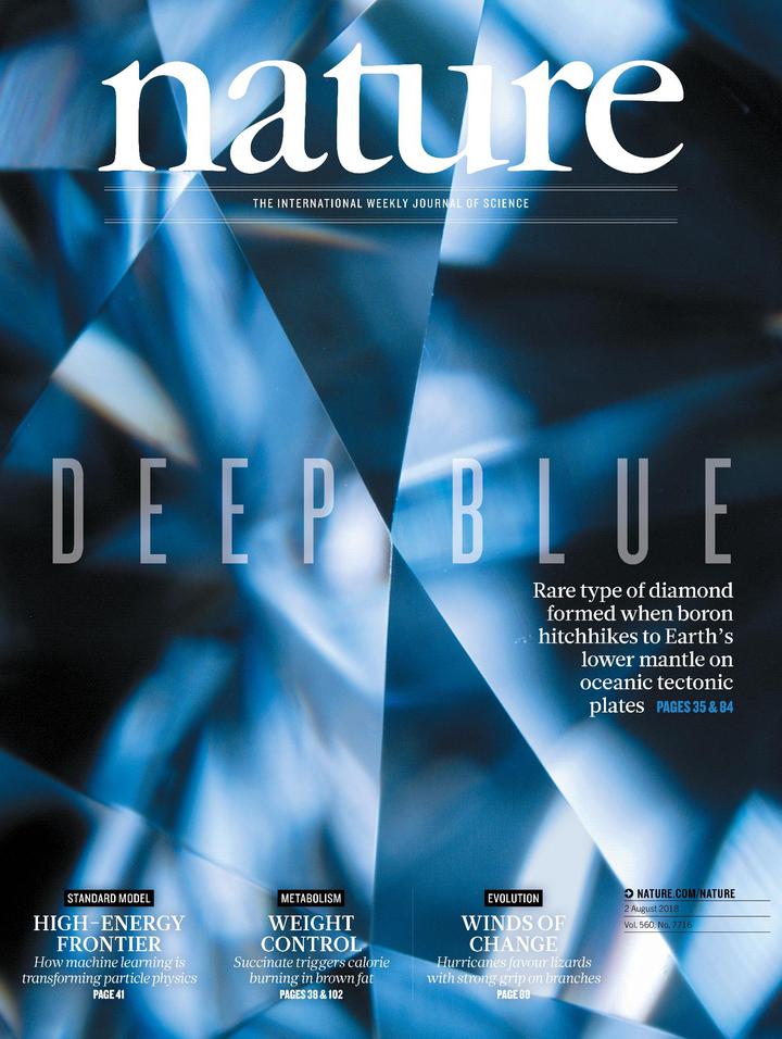 SciNat за август 2018 # 1: отбор на маленький рост на острове Флорес, регуляция числа стволовых клеток у растений и категоризация цвета у птиц