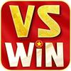 VSWIN