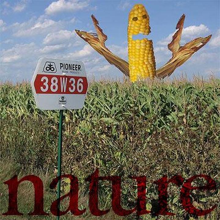 Nature на 2015.01.21: у страха миндалины велики, бесцветные кораллы и спасенье от разгула ГМО