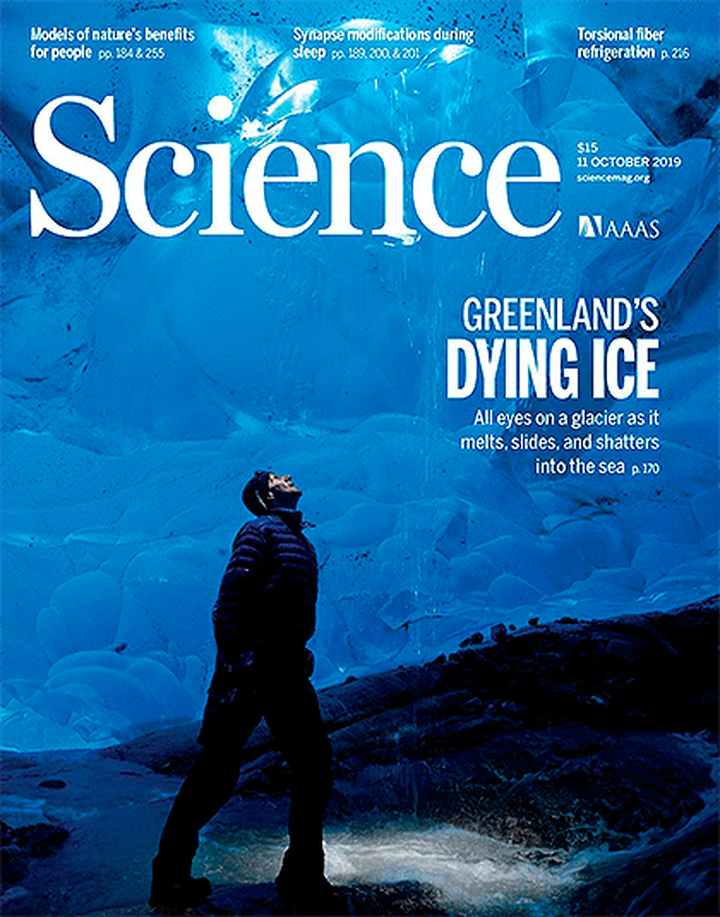 SciNat за октябрь 2019 #2: связь сна и синаптической пластичности, долгая дорога белков по аксону и социальное неравенство в бронзовом веке