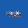 Bong88livetv com
