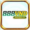888vnd fit
