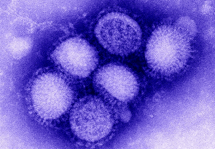 Противопоказания к прививкам от гриппа