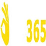 OK365 report