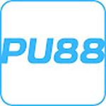 PU88 skin