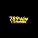 789Winz Org