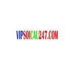 VIPSOICAU247