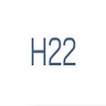 H22 biz