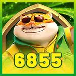 6855bet org