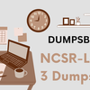 ncsrlevel3dumpspdf_1@mediaholy.com