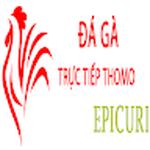 Đá Gà Trực Tiếp Thomo