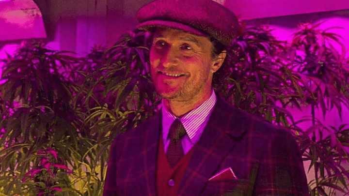 Земля и воля: как стриголактоны помогают гороху сохранять добрососедство