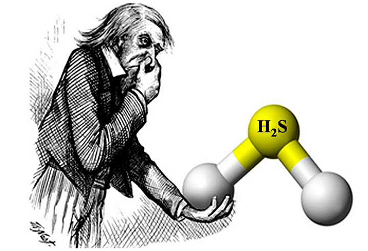 Сероводород — новое лекарство для сосудов