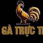 ĐÁ GÀ TRỰC TIẾP