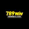 789WIN CO