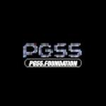 pg55 foundation