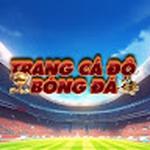 Trangcadobongda jp net