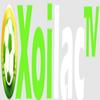 xoilactvnvn.cc  die web