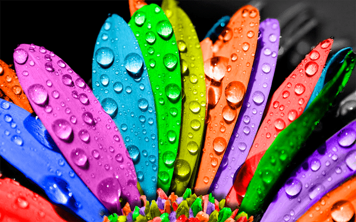 Психологическое воздействие цвета — биология и маркетология