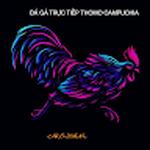 ĐÁ GÀ TRỰC TIẾP THOMO HÔM NAY