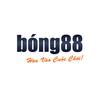 Bong88 - Nhà cái Thể thao , Bóng Đá, Đá gà