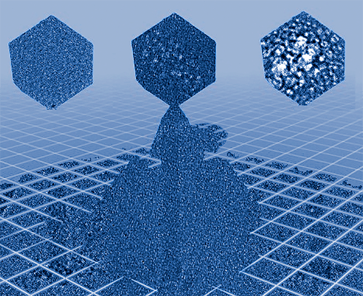 Электронно-лучевое повреждение в микроскопии: <em>Pro et contra</em>