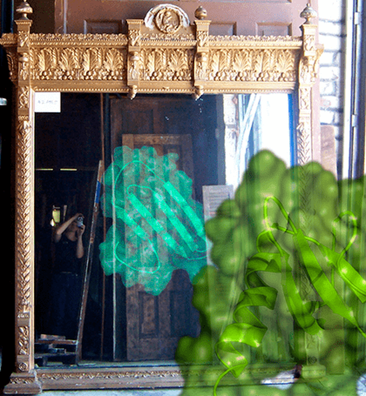 Одна последовательность — одна структура: был ли Анфинсен неправ?