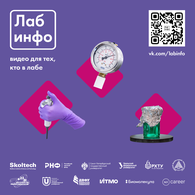 ДВФУ и Университет ИТМО вошли в образовательный проект для молодых ученых «ЛабИнфо»