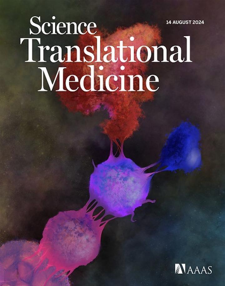 SciNat за август 2024 #3: ИИ-крыса, доставка белков в мозг при помощи токсоплазмы и «анти-рипплы» в гиппокампе